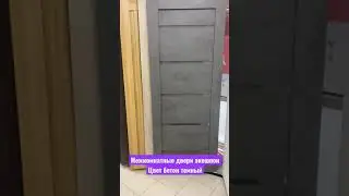 Межкомнатные двери экошпон в цвете бетон темный
