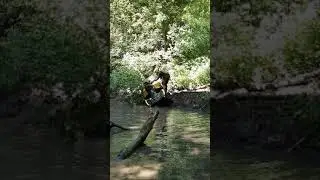 квадроциклы под Рязанью