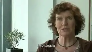 Læge-middel-styrelsen som kvindearbejdsplads