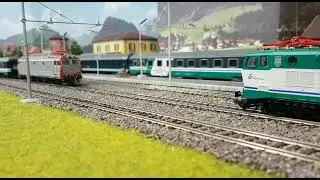 Treno notte E403 shorts
