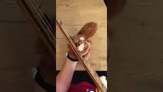 #Basssquirrel plays „The Fez“ by Steely Dan. Original bassline by Chuck Rainey