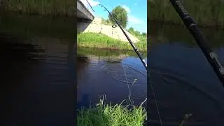 A powerful fight between a FISHERMAN and a HUGE TROPHY PIKE. 