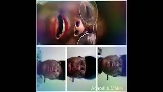 Queen Of my heart song