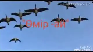"Өмір-ай" қытай қазақтары.