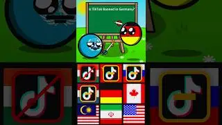 is "TikTok" banned in This countries??