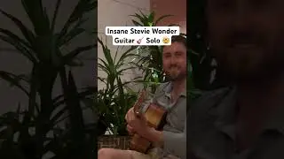 Insane Stevie Wonder Guitar Solo 🎸 #steviewonder #guitarsolo #guitar #turtlebay #danbankhurst #fyp