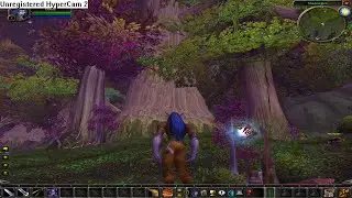 It's 2005 And You Create A Night Elf Character