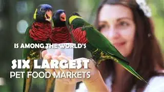 Video Institucional Instituto Pet Brasil - Ingles