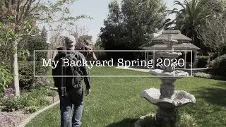 Photographing My Backyard 2020
