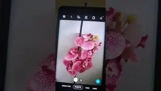 Samsung Note 9 Still good
