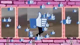 👏👏👏👏👏
