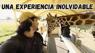 🦒 ¡AQUÍ PUEDES ALIMENTAR JIRAFAS! 🦒 | Reino Animal vlog