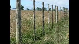 How to figure out if a fence is on the boundary line.