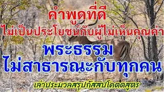 คำพูดที่ดีไม่เป็นประโยชน์กับผู้ไม่เห็นคุณค่า พระธรรมไม่สาธารณะกับทุกคน_กัสสปโคตตสูตร