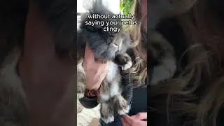 Not clingy, I just love running to my mom