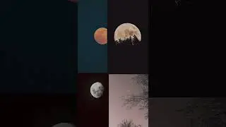 Instagram Trend | Tutorial in comment box | 