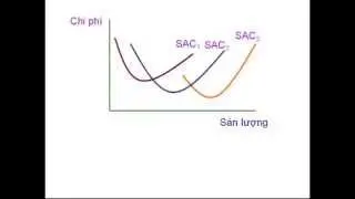 Lý thuyết hành vi người sản xuất