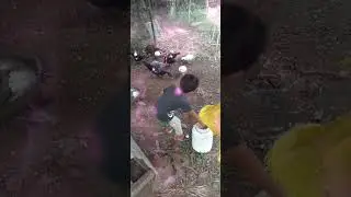 umagang kay happy na naman ni bunso..kada umaga pinapakain niya mga alaga namin