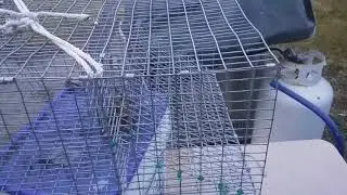 Homemade crawfish trap! Like the crayster trap//Works great, and catches those tasty little mudbugs!