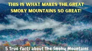 This Is What Makes The Great Smoky Mountains So Great! True Facts About The Smoky Mountains.