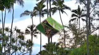 Hilo, Hawaii