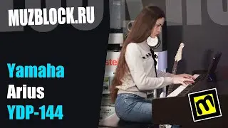 Yamaha YDP-144 - обзор цифрового пианино