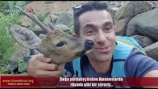 Doğa Yürüyüşçüsüne yavru karaca sürprizi