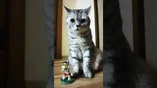 Кот поздравляет с 1 мая 