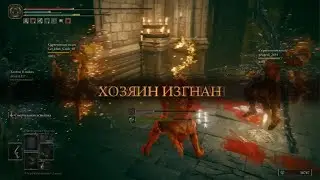 Имбалансный имба билд вернулся, спасибо Миядзаки shadow of erdtree