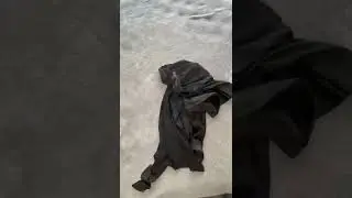 Dress Organizing Tiktok nattianne