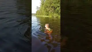 6 июля 2020 г.