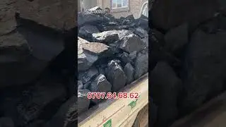 Комур басы