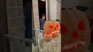 Halloween 😱