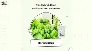 Get everything you need to start a kitchen garden, delivered to your door from AllThatGrows.