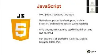 Which Web Programming Language Should I Learn First? - Full Stack