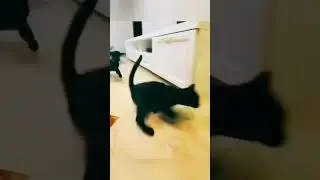 Забудь про тормоза, газом работать надо😈 Мем из Тик Тока 🤣 №28 