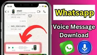 How To Whatsapp Voice Message Download (2024)