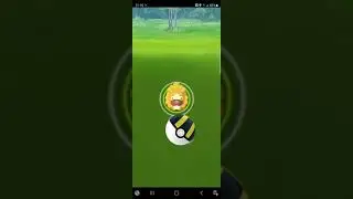 Bidoof Bidoof Bidoof Bidoof Bidoof Bidoof Bidoof Bidoof Bidoof Bidoof Bidoof Bidoof Bidoof Bidoof