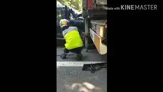 Все живы ...
