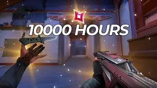 What 10000 hours of valorant looks like...
