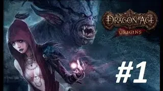 Прохождение Dragon Age Origins. Круг магов.
