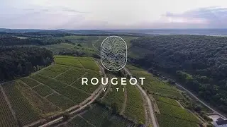 Rougeot Viti - Prestations de travaux de la terre et de la vigne.
