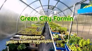 taimi myynti 2023