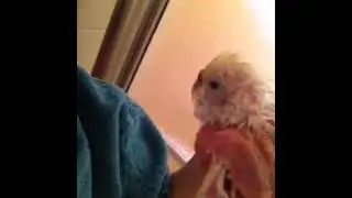 Gigi's hot shower