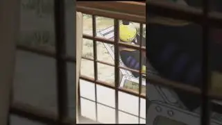 смешной момент | Класс убийц 