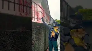 Вилла Соловьёва на озере Комо. Как она выглядит после посещения украинцами. 04.12. 2022