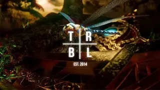 Born I & Tenka - Dragonfly (feat. Real Warr)