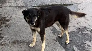 Вот таки они меня встречают.. Одесса