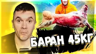 ПРИГОТОВИЛИ ОГРОМНОГО БАРАНА ВЕСОМ 45 КИЛОГРАММ В ЯМЕ! РЕАКЦИЯ АУРУМА!
