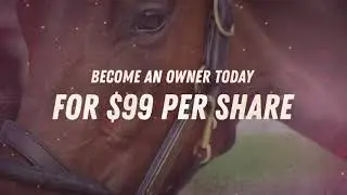Meet Daughter of Kentucky Derby Winner, Nyquist